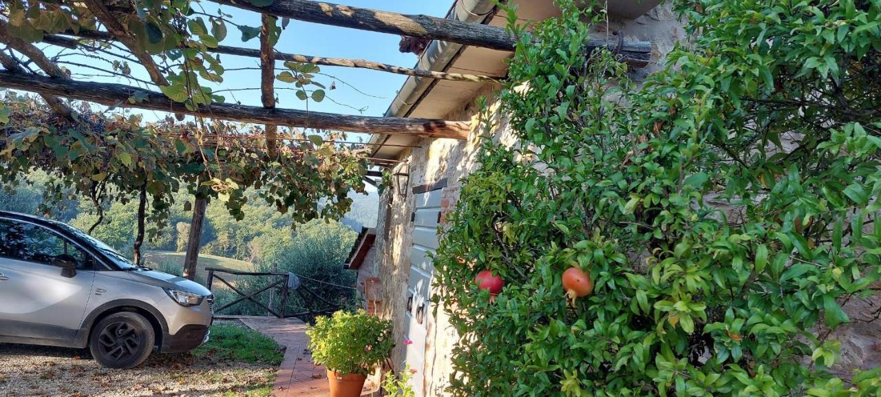 Agriturismo La Scarpaia Anghiari Dış mekan fotoğraf
