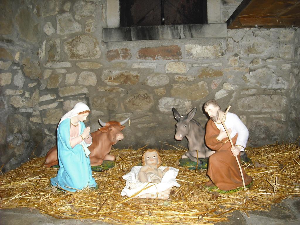 Agriturismo La Scarpaia Anghiari Dış mekan fotoğraf