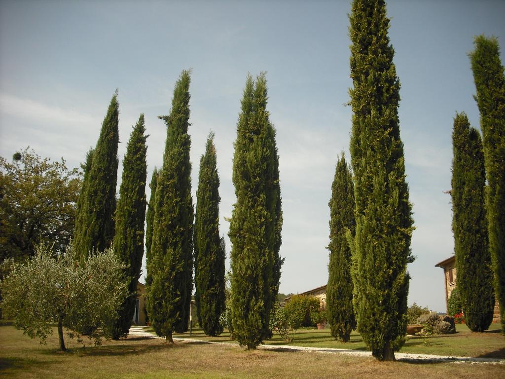 Agriturismo La Scarpaia Anghiari Dış mekan fotoğraf