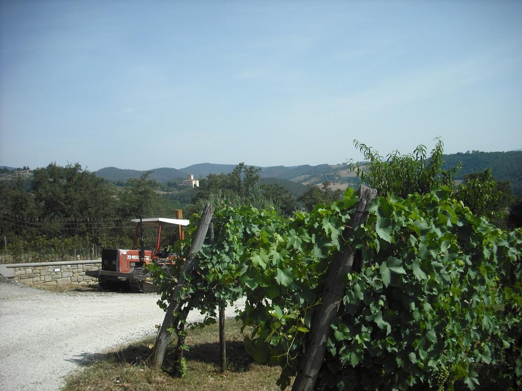 Agriturismo La Scarpaia Anghiari Dış mekan fotoğraf