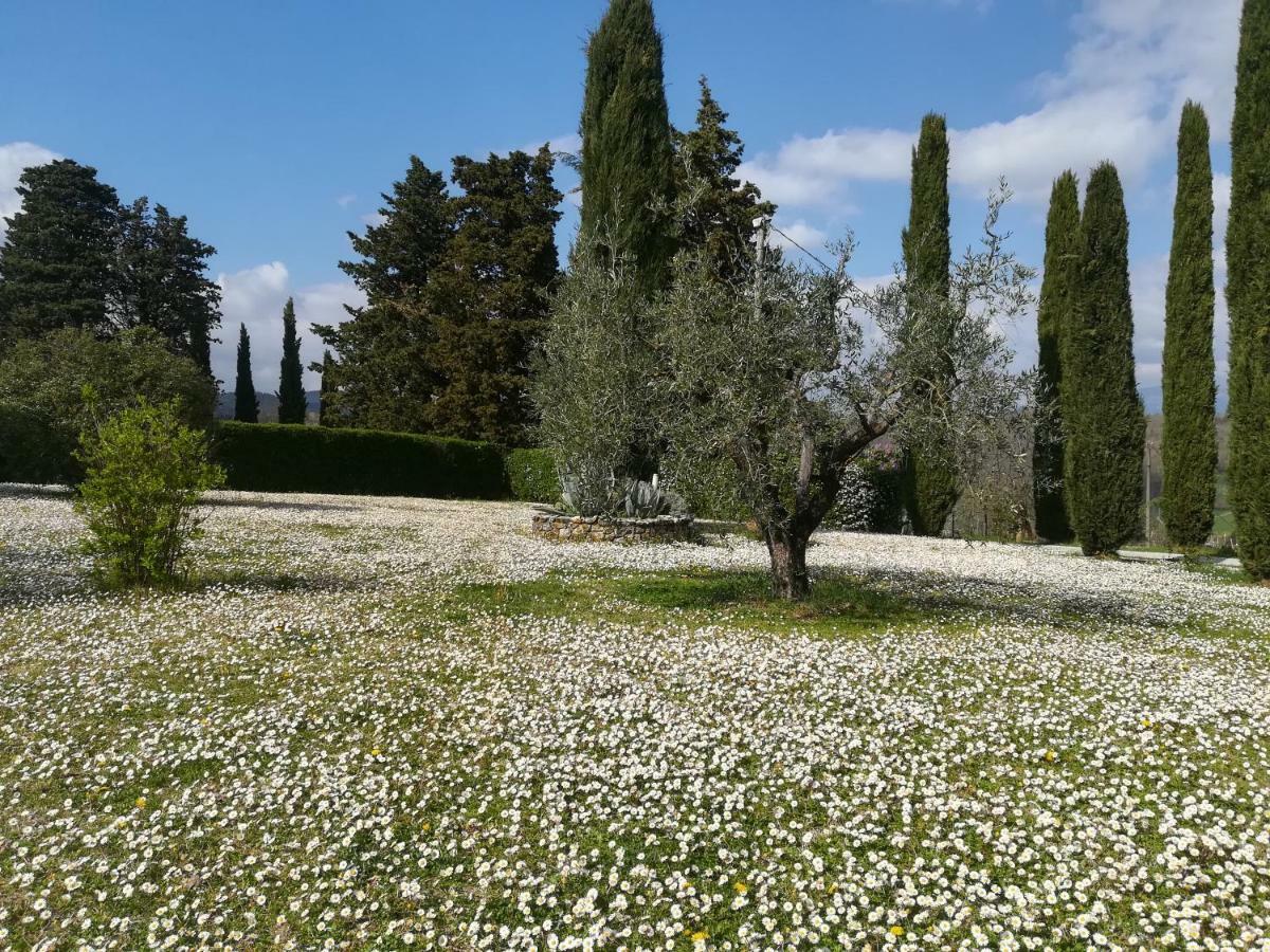 Agriturismo La Scarpaia Anghiari Dış mekan fotoğraf