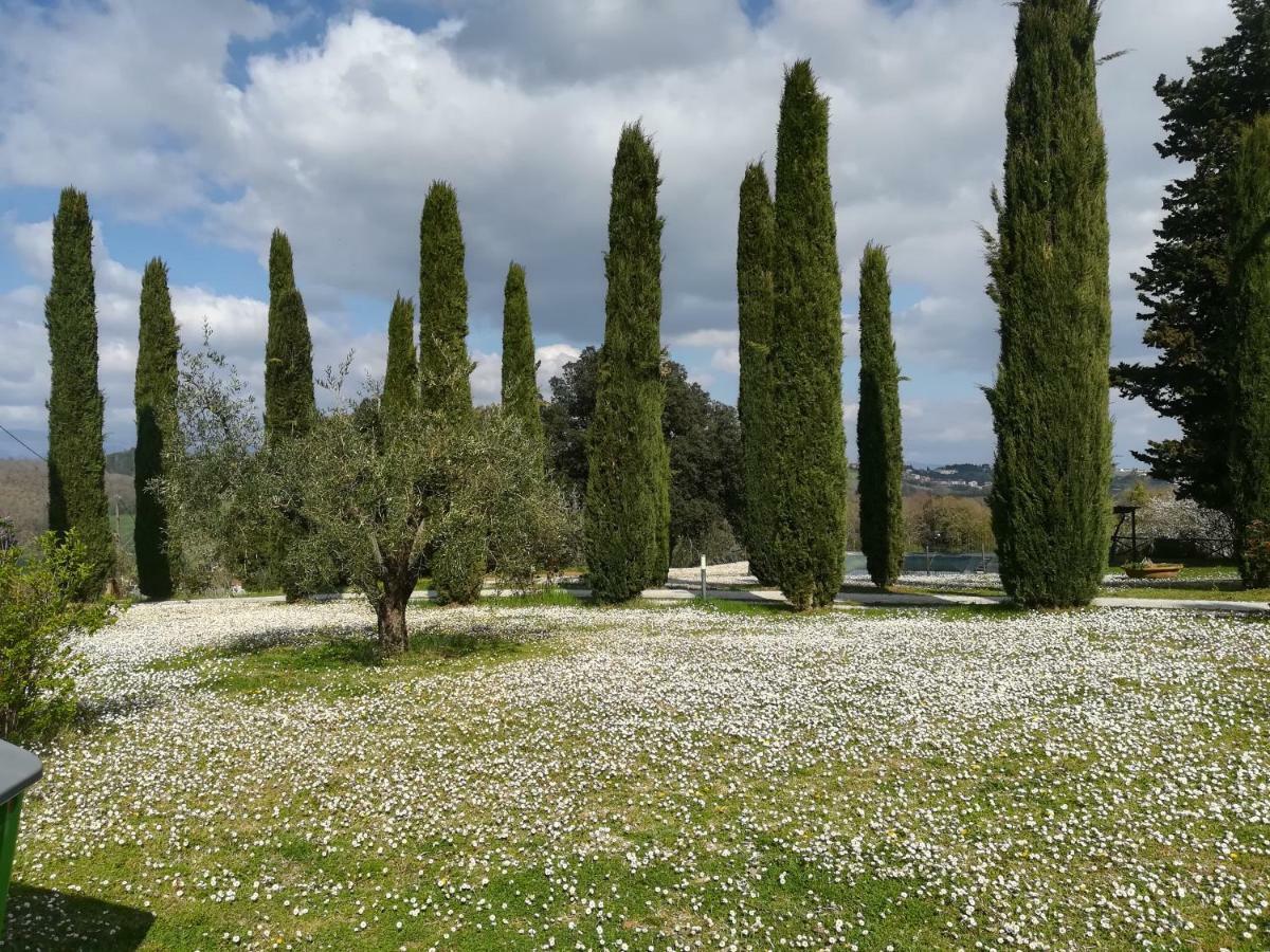 Agriturismo La Scarpaia Anghiari Dış mekan fotoğraf