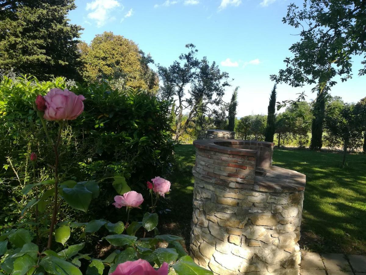 Agriturismo La Scarpaia Anghiari Dış mekan fotoğraf